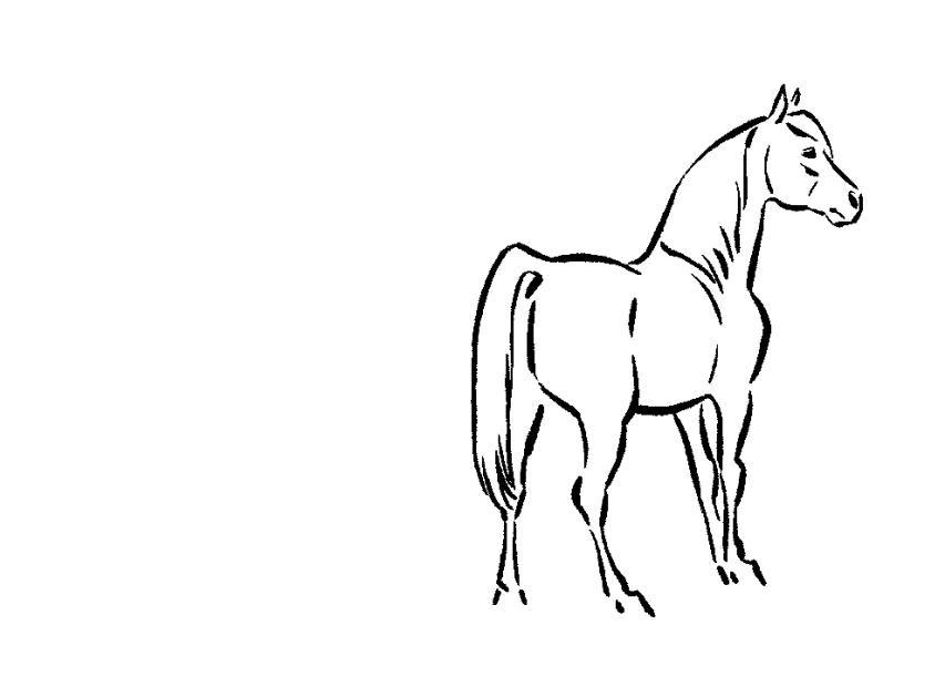 animation2D cheval