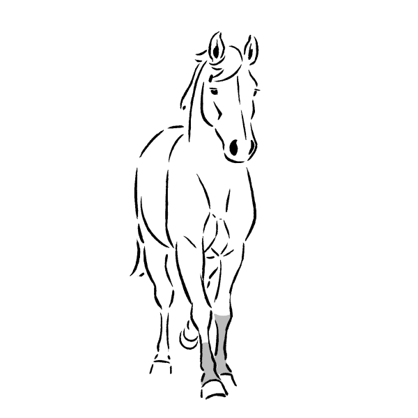 animation2D cheval